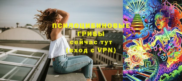 винт Липки
