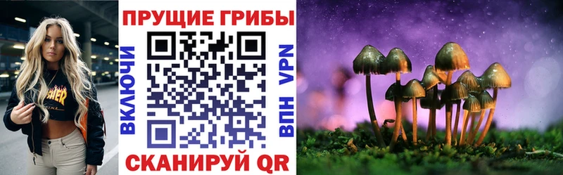 Псилоцибиновые грибы прущие грибы  Архангельск 