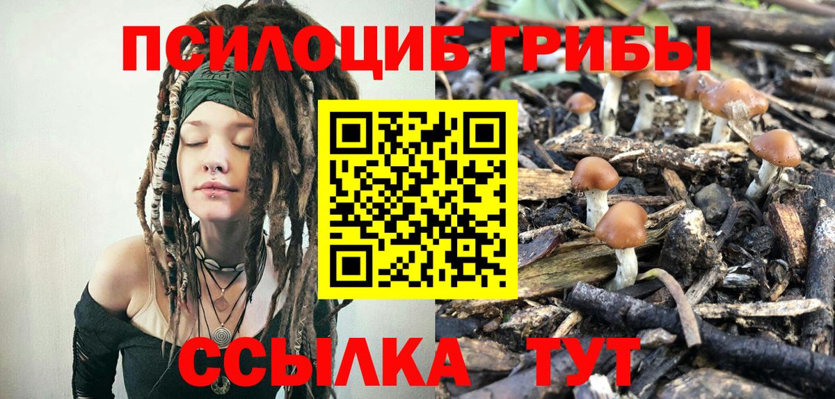 Архангельск  Галлюциногенные грибы мицелий  Вход с VPN 