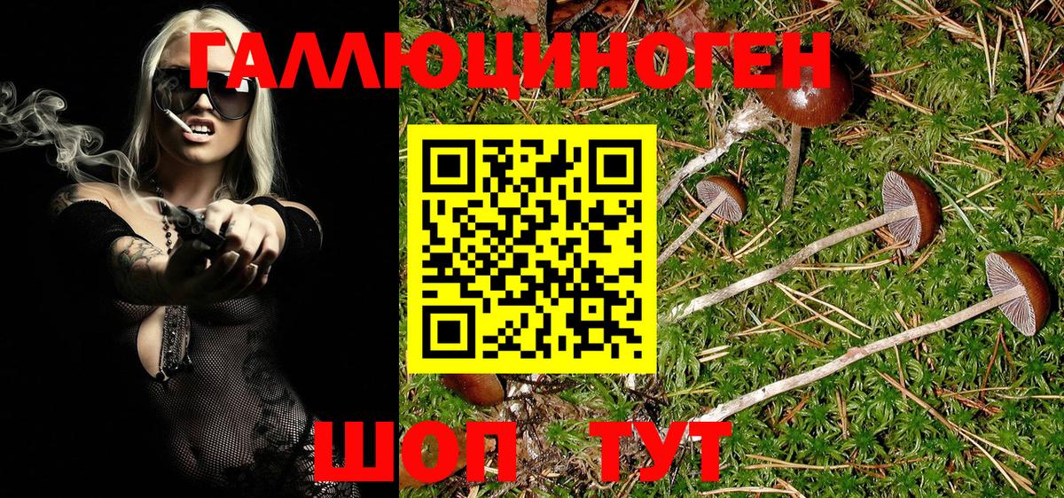 Псилоцибиновые грибы мухоморы  Архангельск 